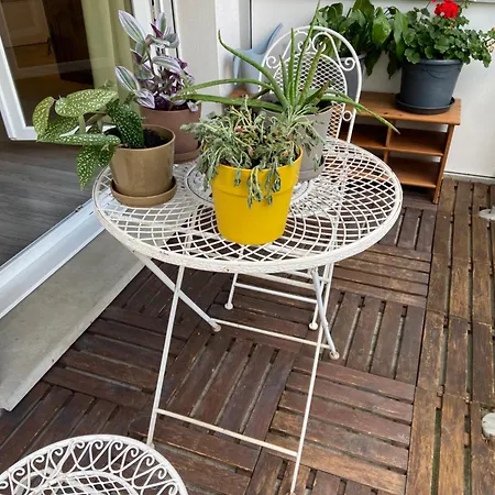 2 Piece Calme Cronenbourg 5min Centre * Strazburg
